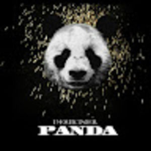 Meet your Posher, Flash